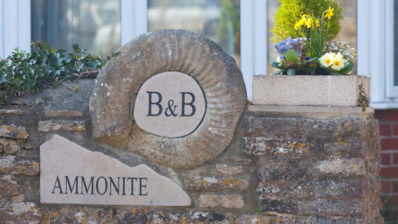 Ammonite Bed & Breakfast Корф-Касл Экстерьер фото
